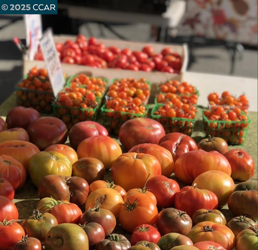 2061 Pine Knoll Dr # 4