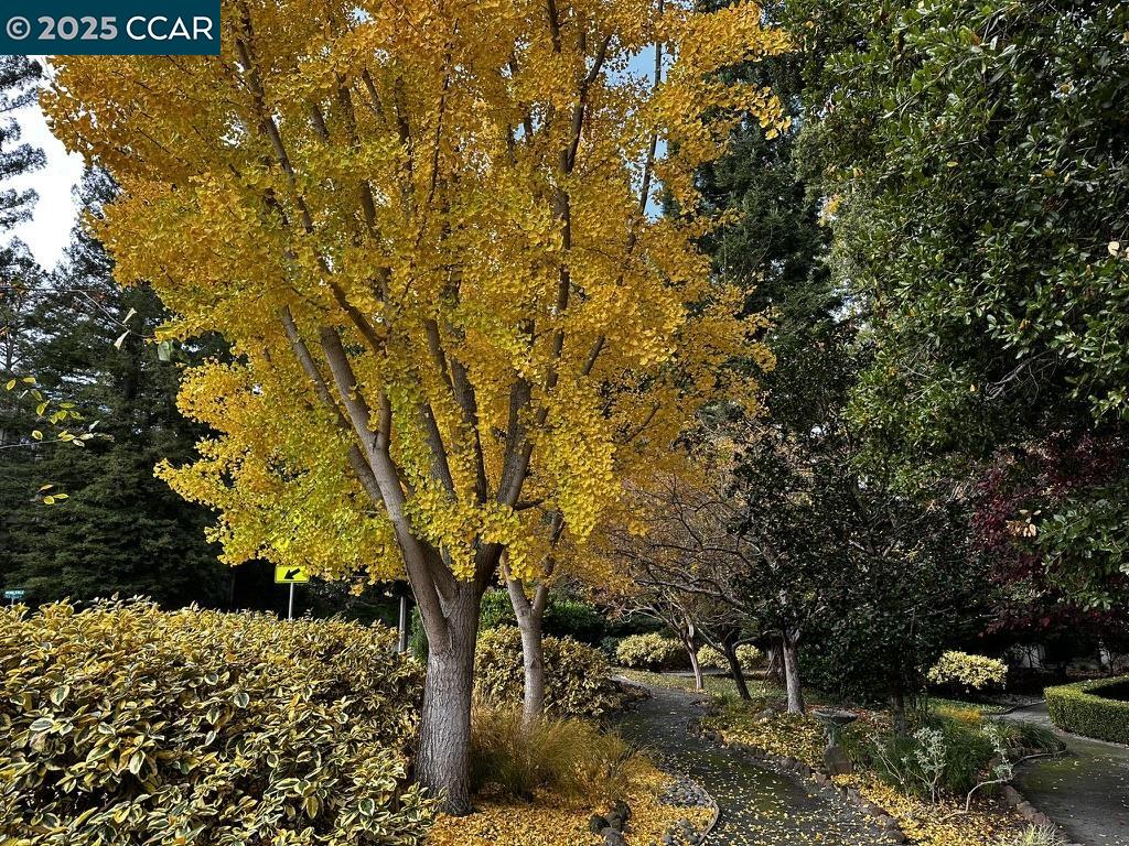 2061 Pine Knoll Dr # 4