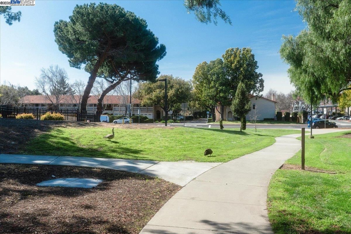 34701 ALVARADO NILES RD # 2