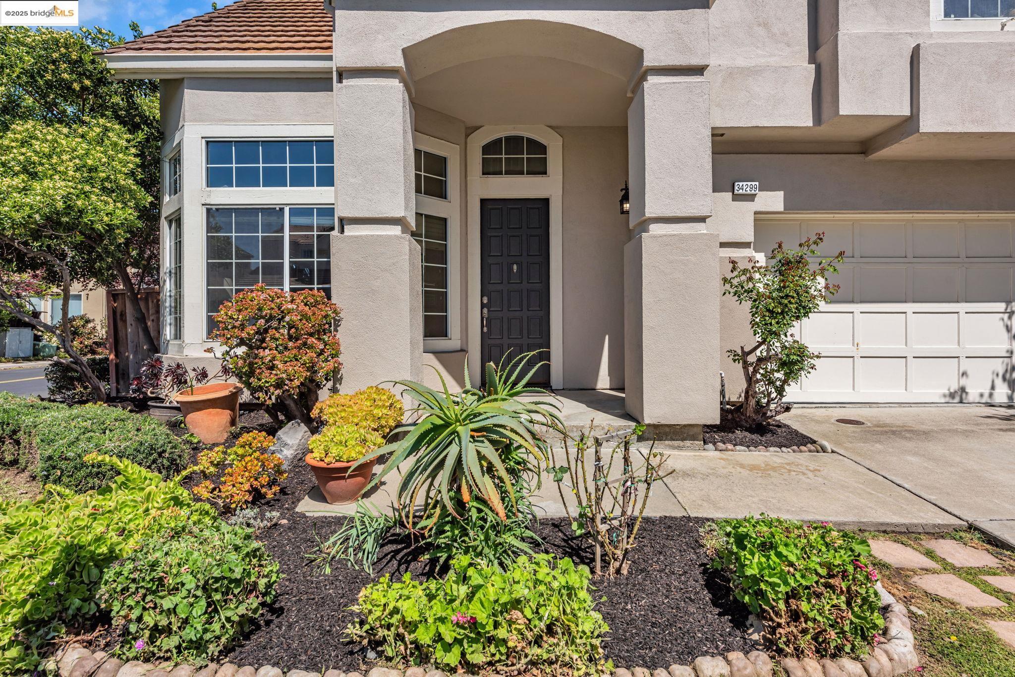 34299 Eucalyptus Ter