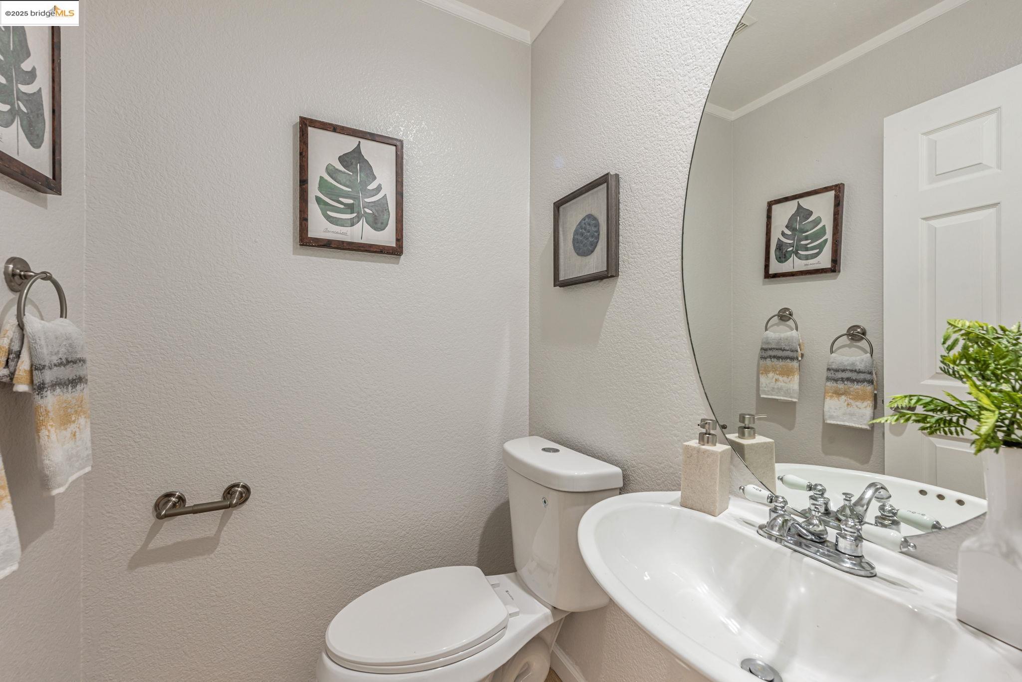 34299 Eucalyptus Ter