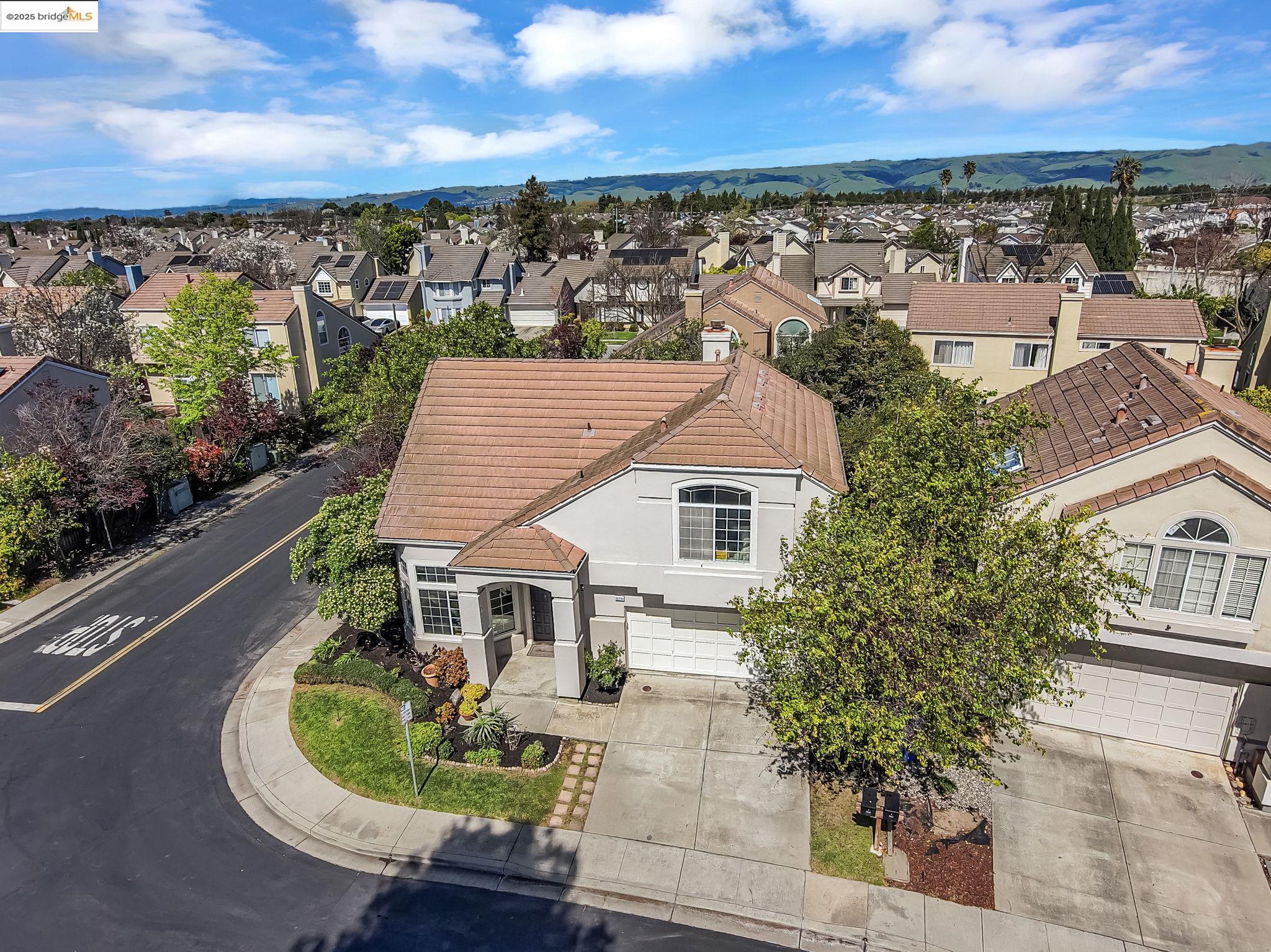 34299 Eucalyptus Ter