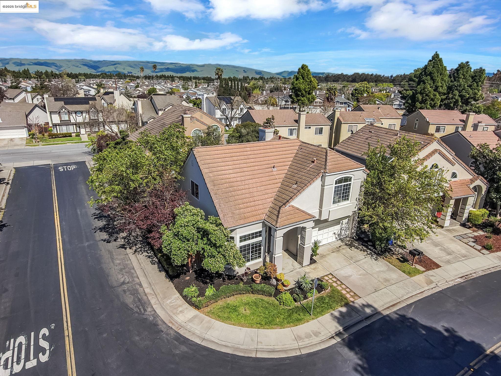 34299 Eucalyptus Ter