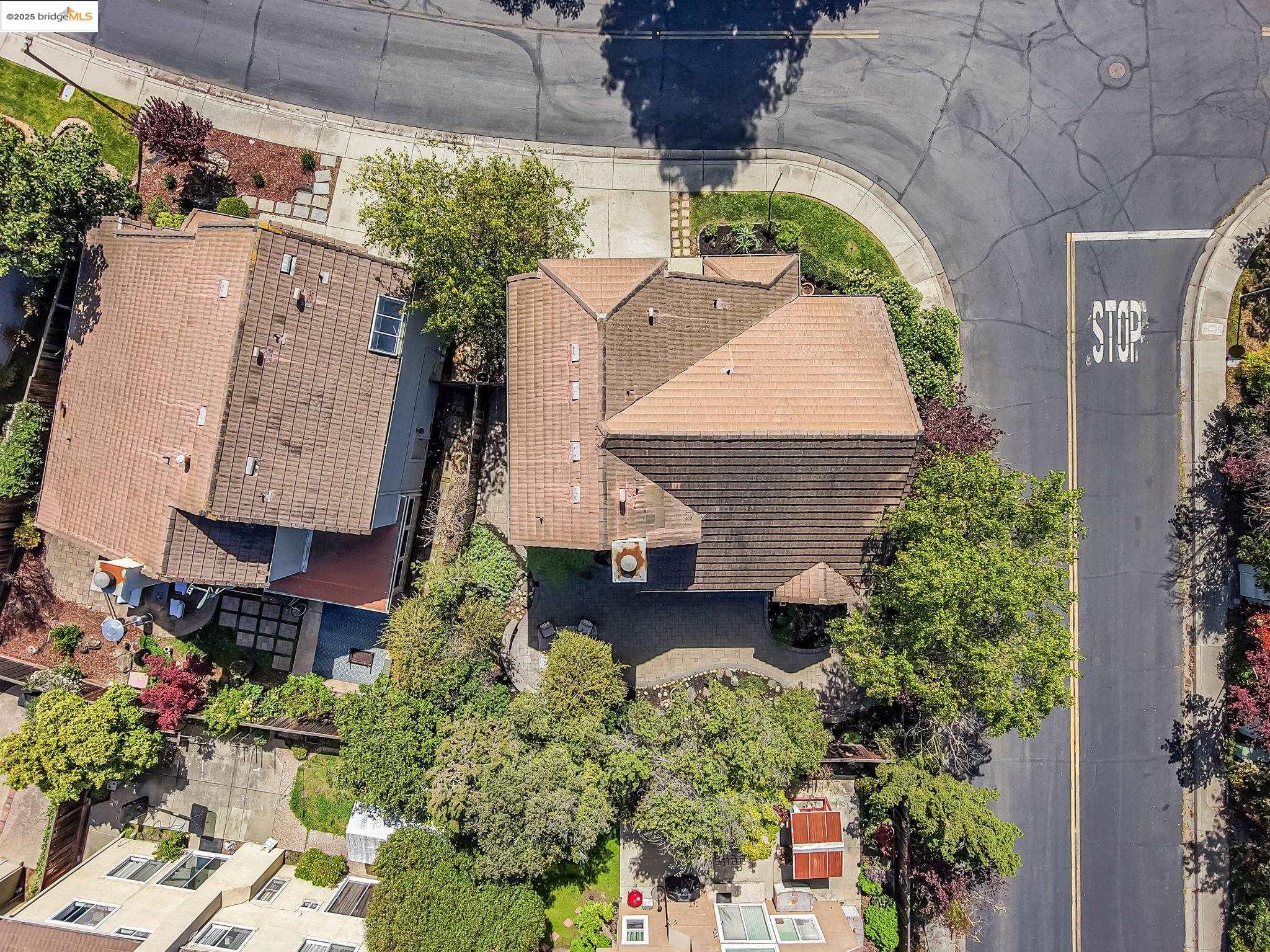 34299 Eucalyptus Ter