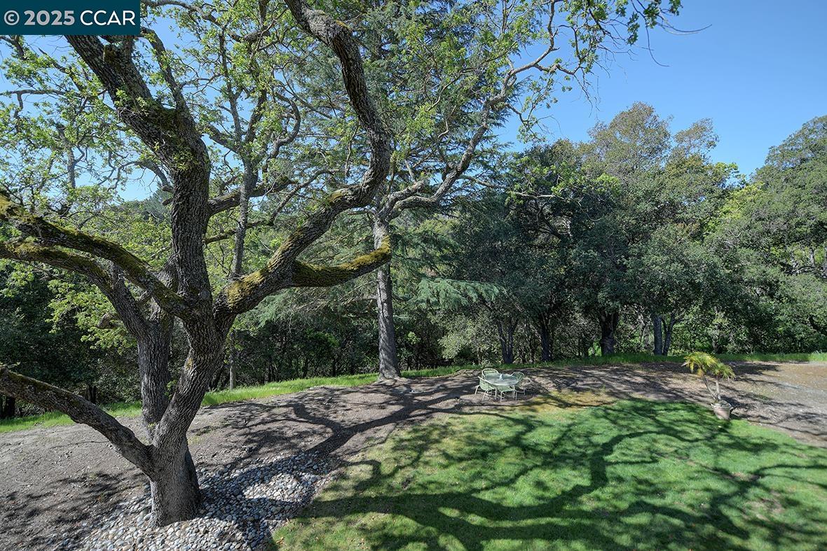 1873 Golden Rain Rd # 1