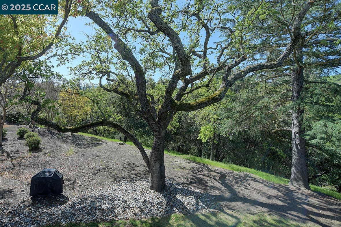 1873 Golden Rain Rd # 1