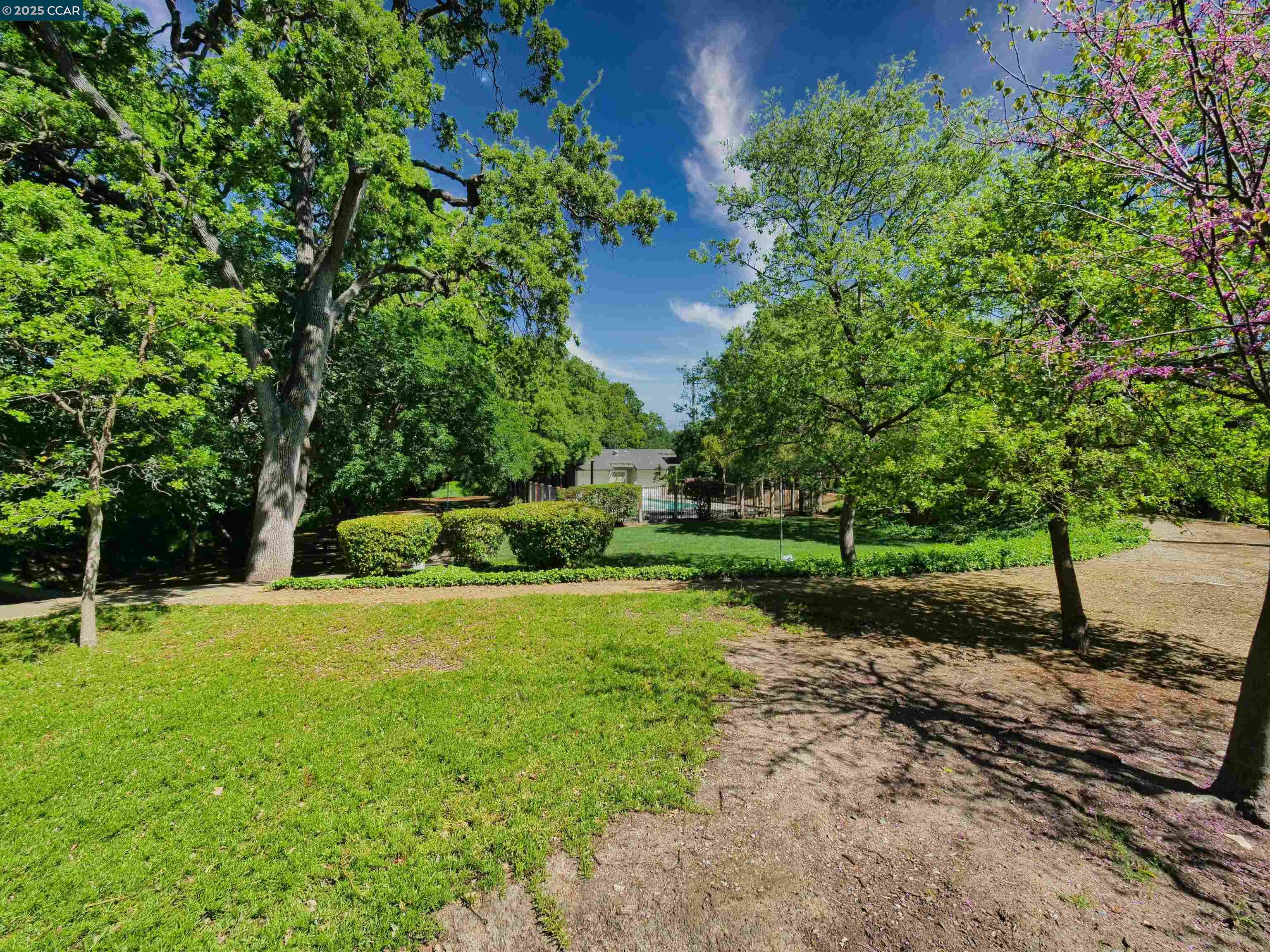 700 Suntree Lane # 705