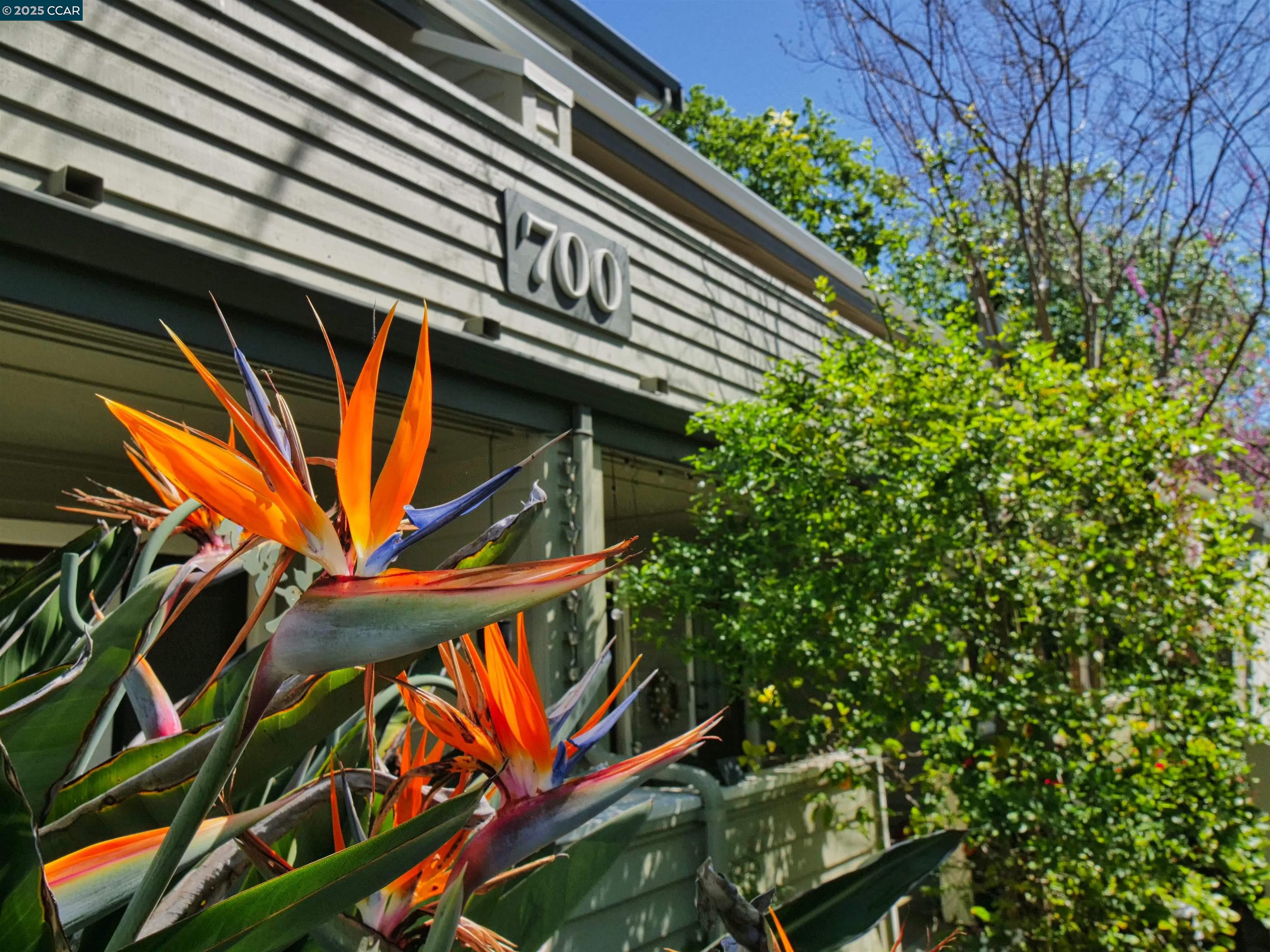 700 Suntree Lane # 705