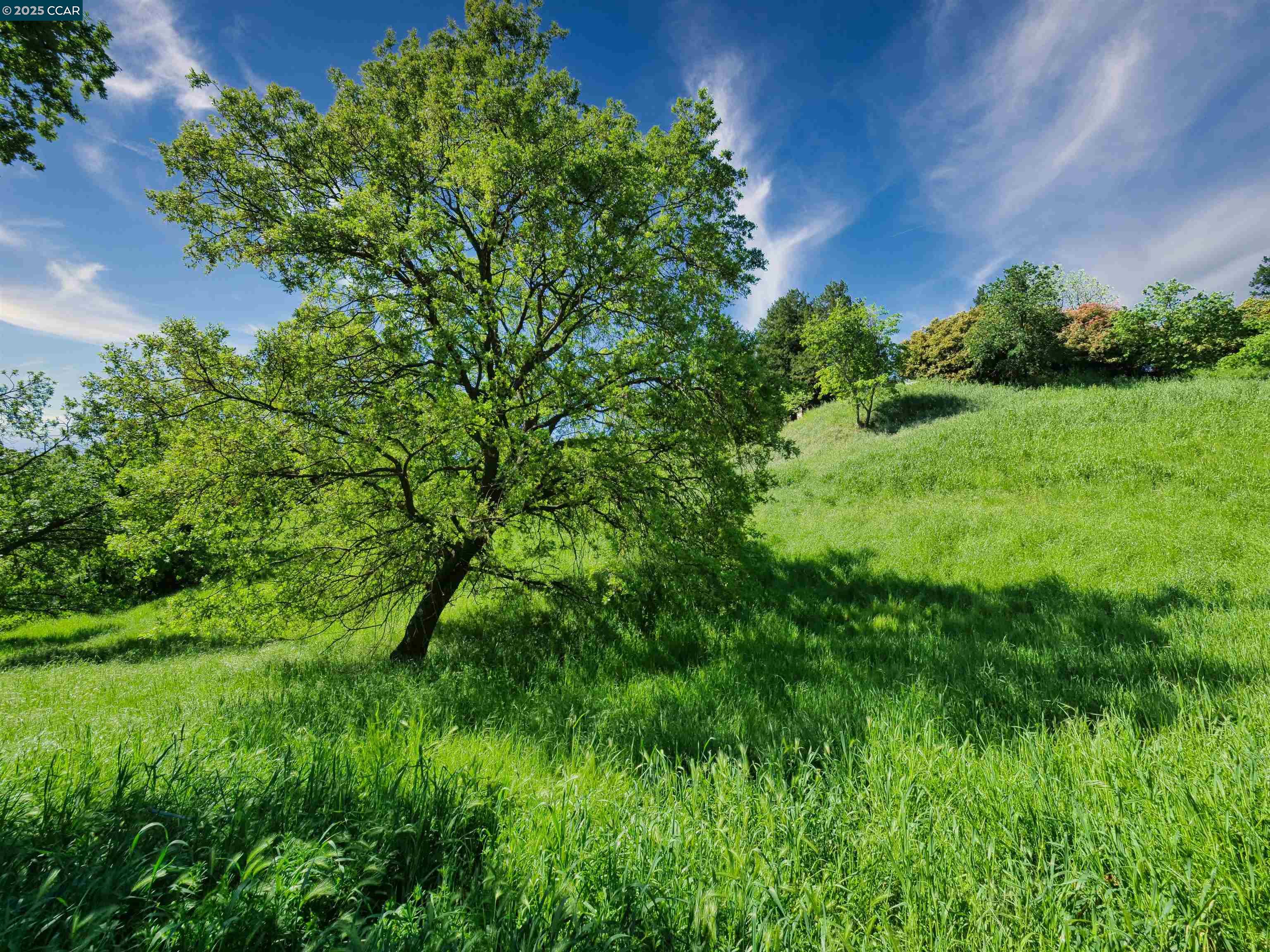 700 Suntree Lane # 705