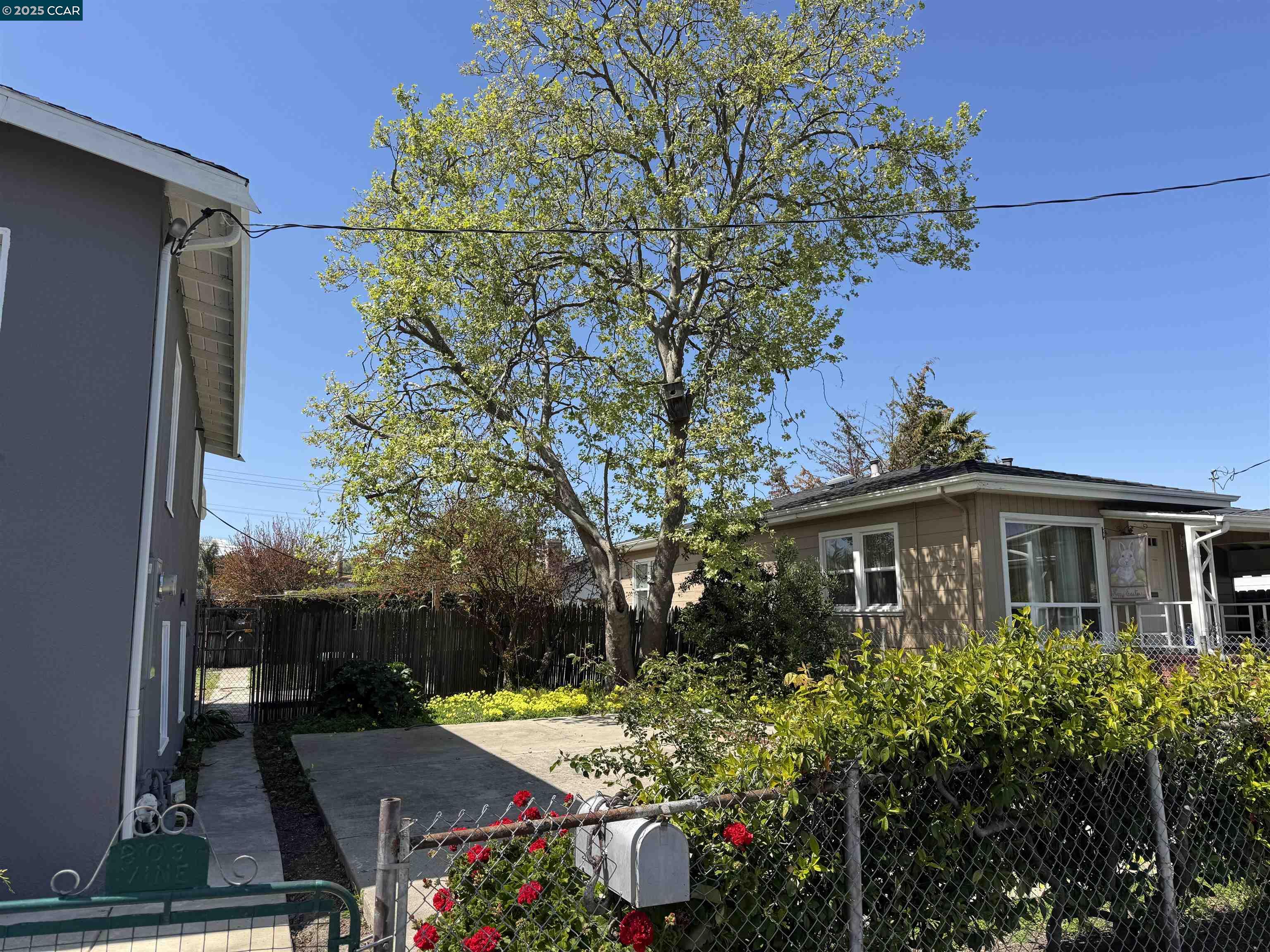 803 Vine Ave