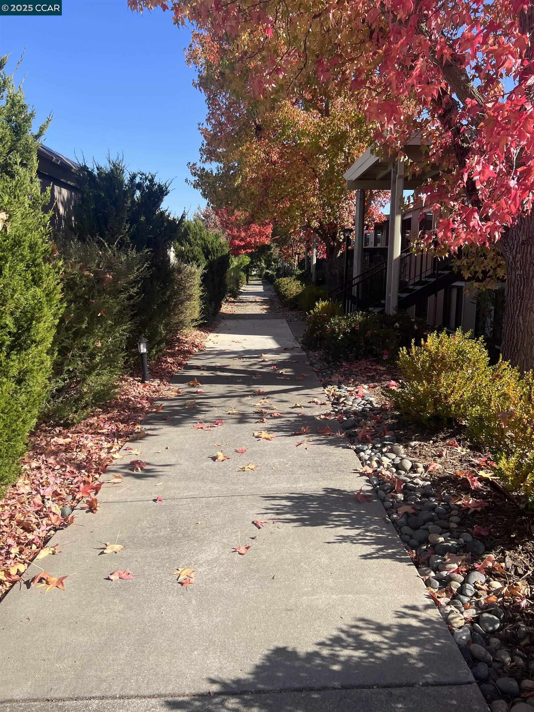 2101 Golden Rain # 13