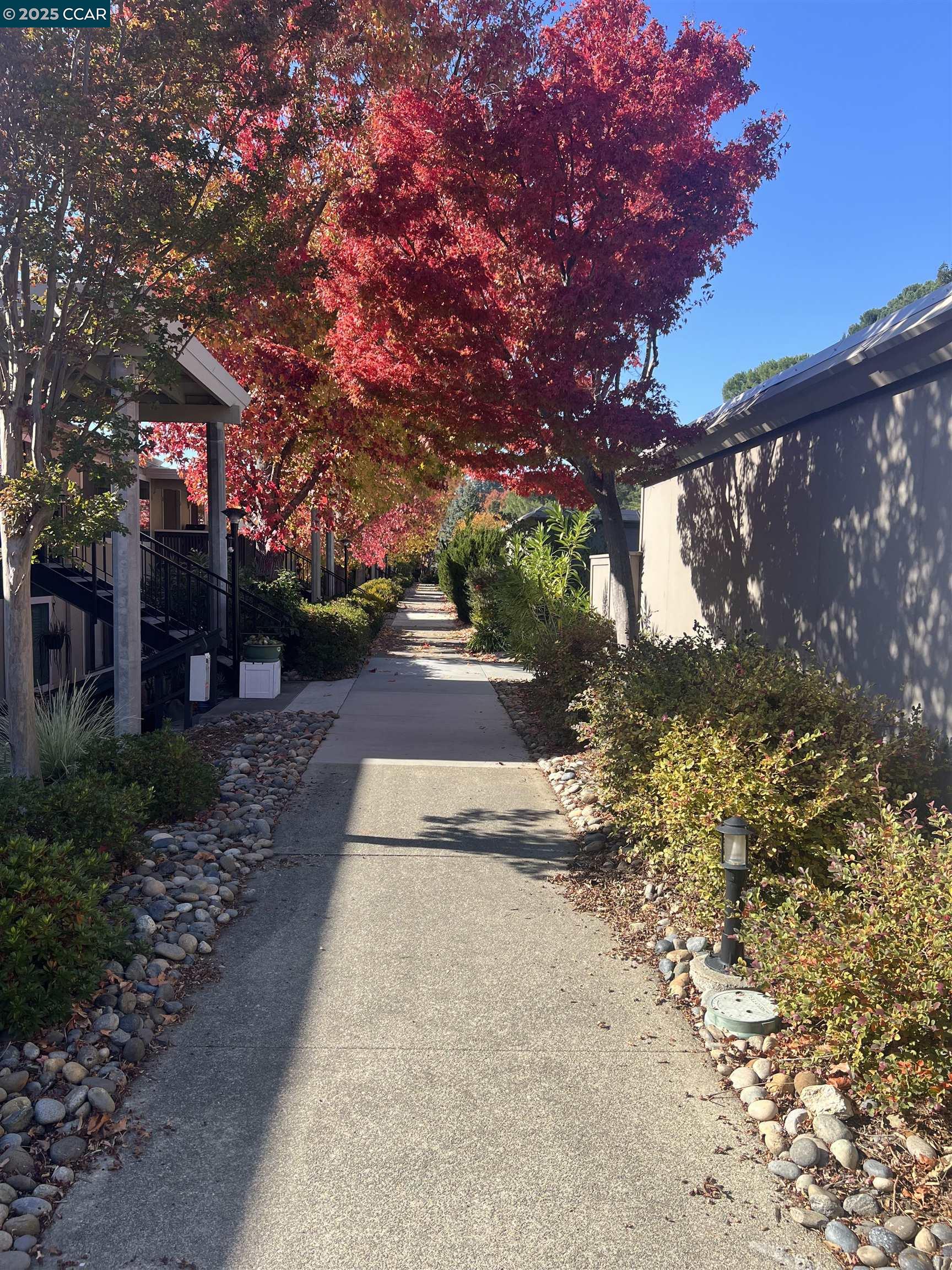 2101 Golden Rain # 13