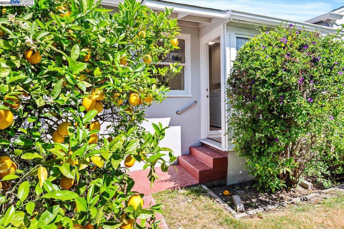 231 Bowling Green St