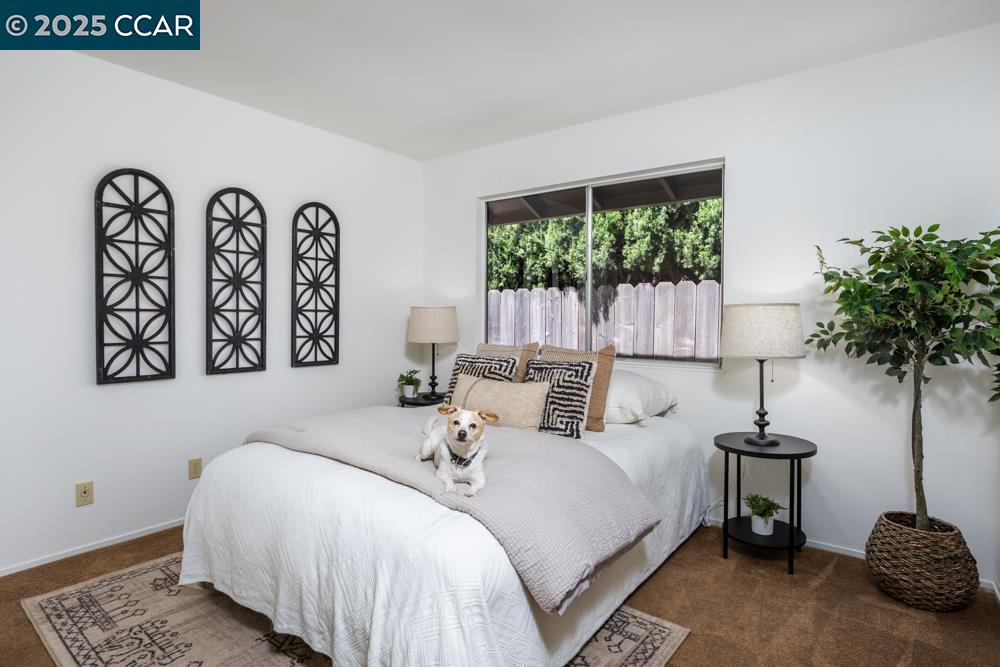 5524 Guadalupe Ct