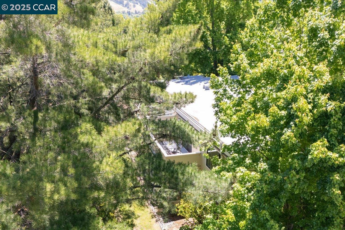 2749 Pine Knoll Dr. # 1