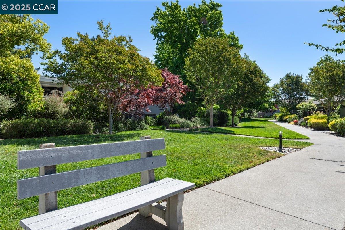 2749 Pine Knoll Dr. # 1