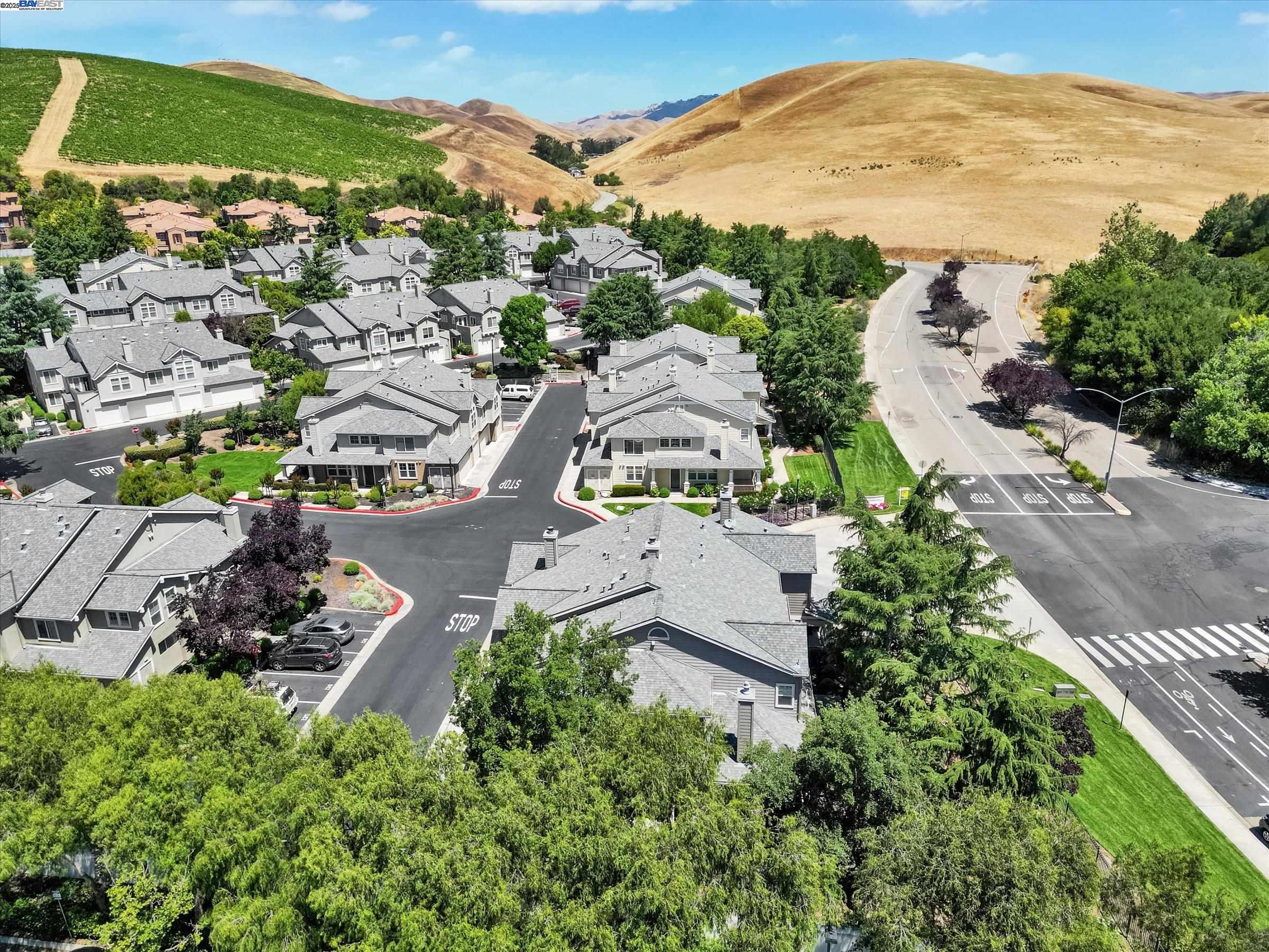 26 Bellington Cmn # 4