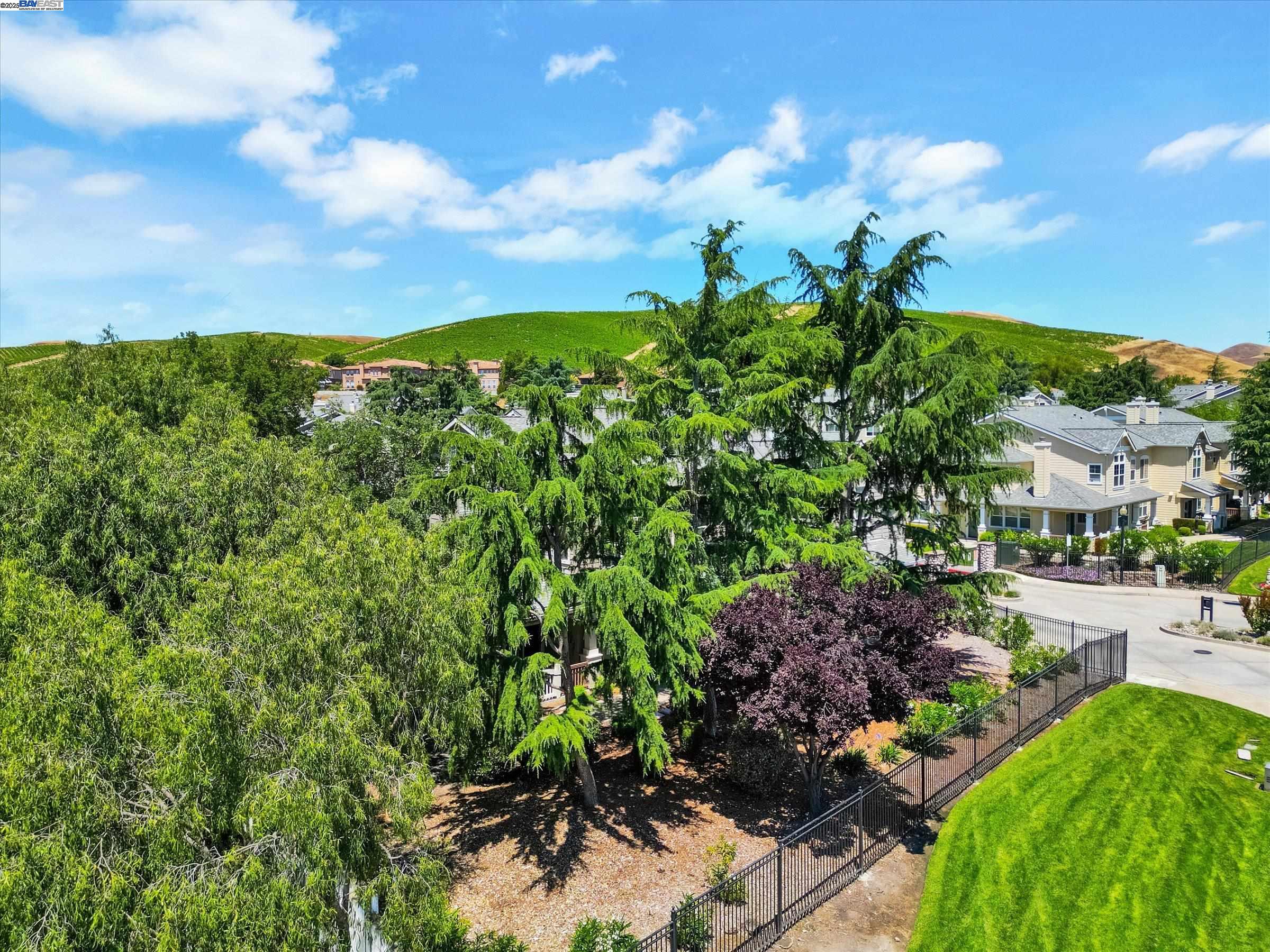 26 Bellington Cmn # 4