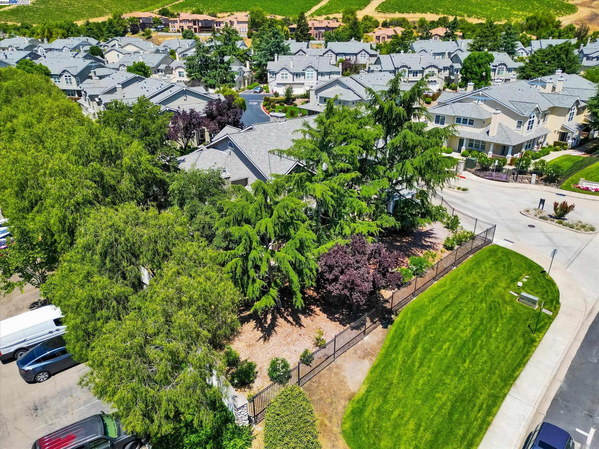 26 Bellington Cmn # 4