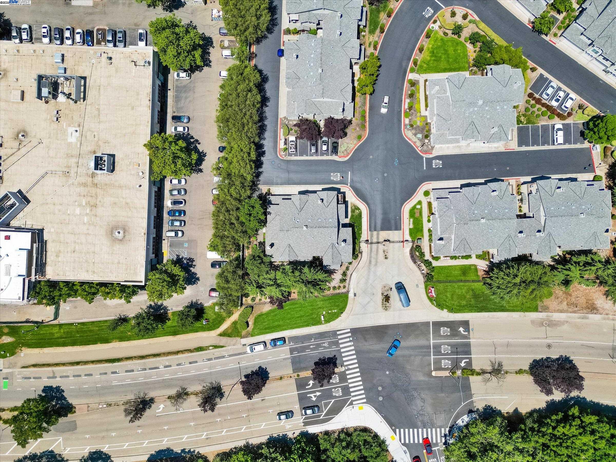 26 Bellington Cmn # 4