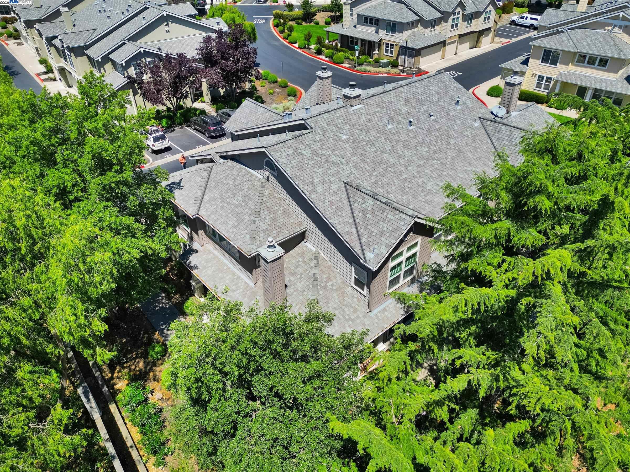 26 Bellington Cmn # 4