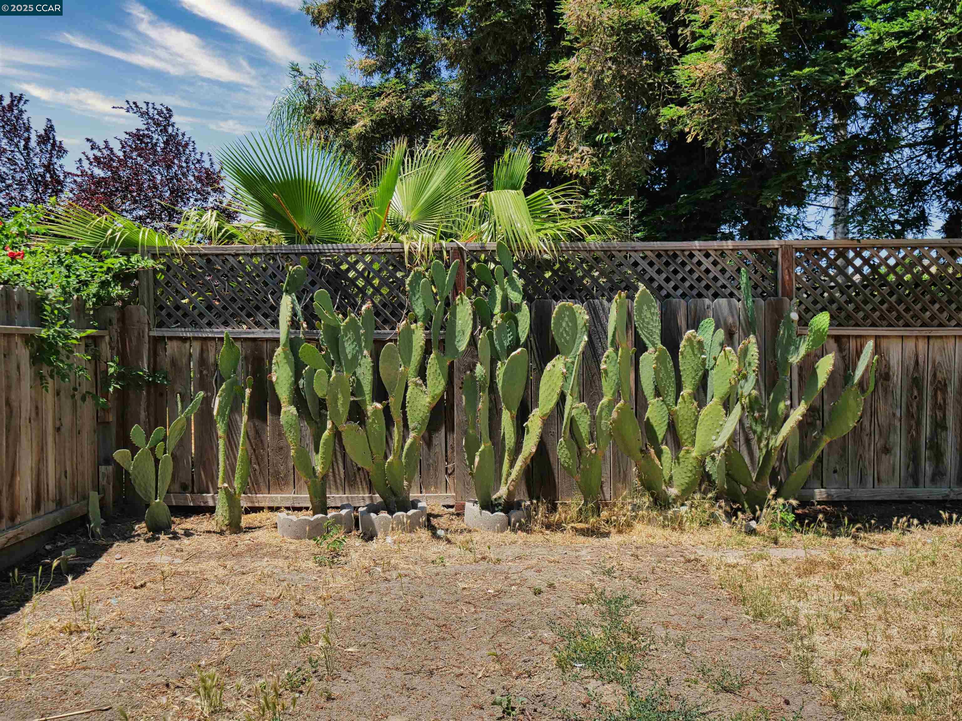 4212 Dunster Drive