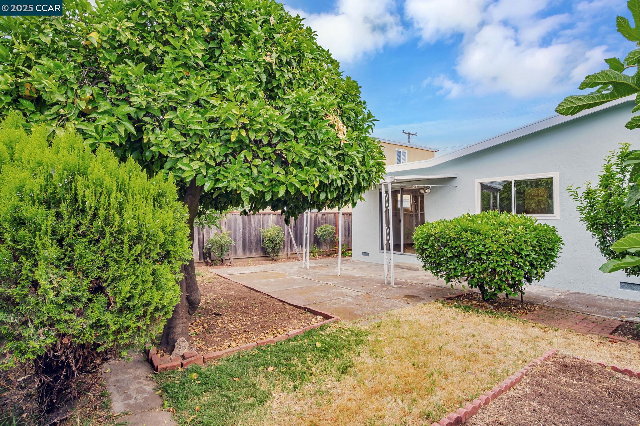520 Celia St