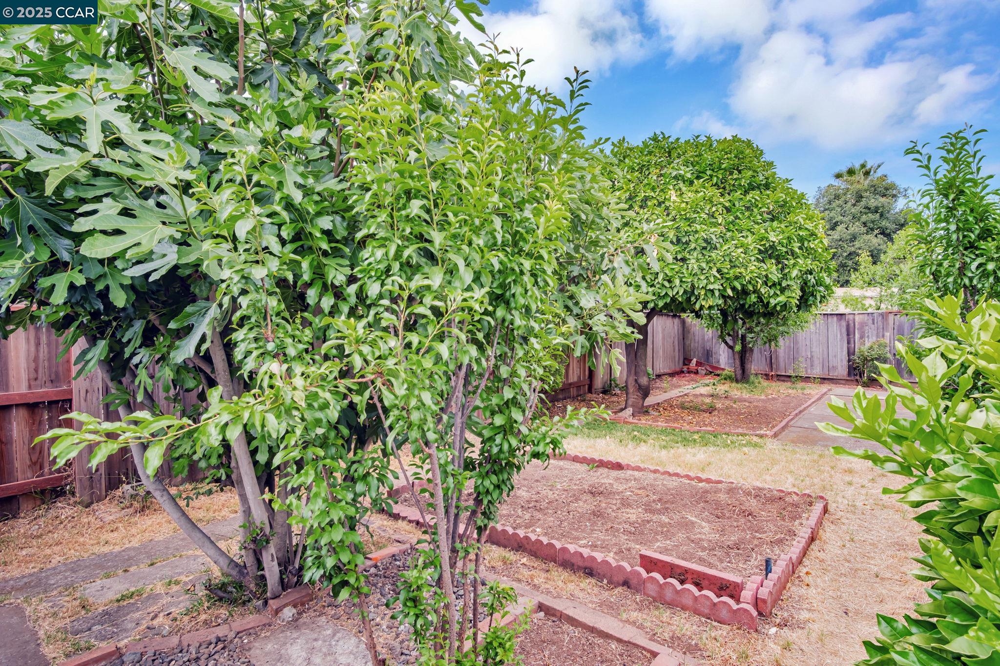 520 Celia St