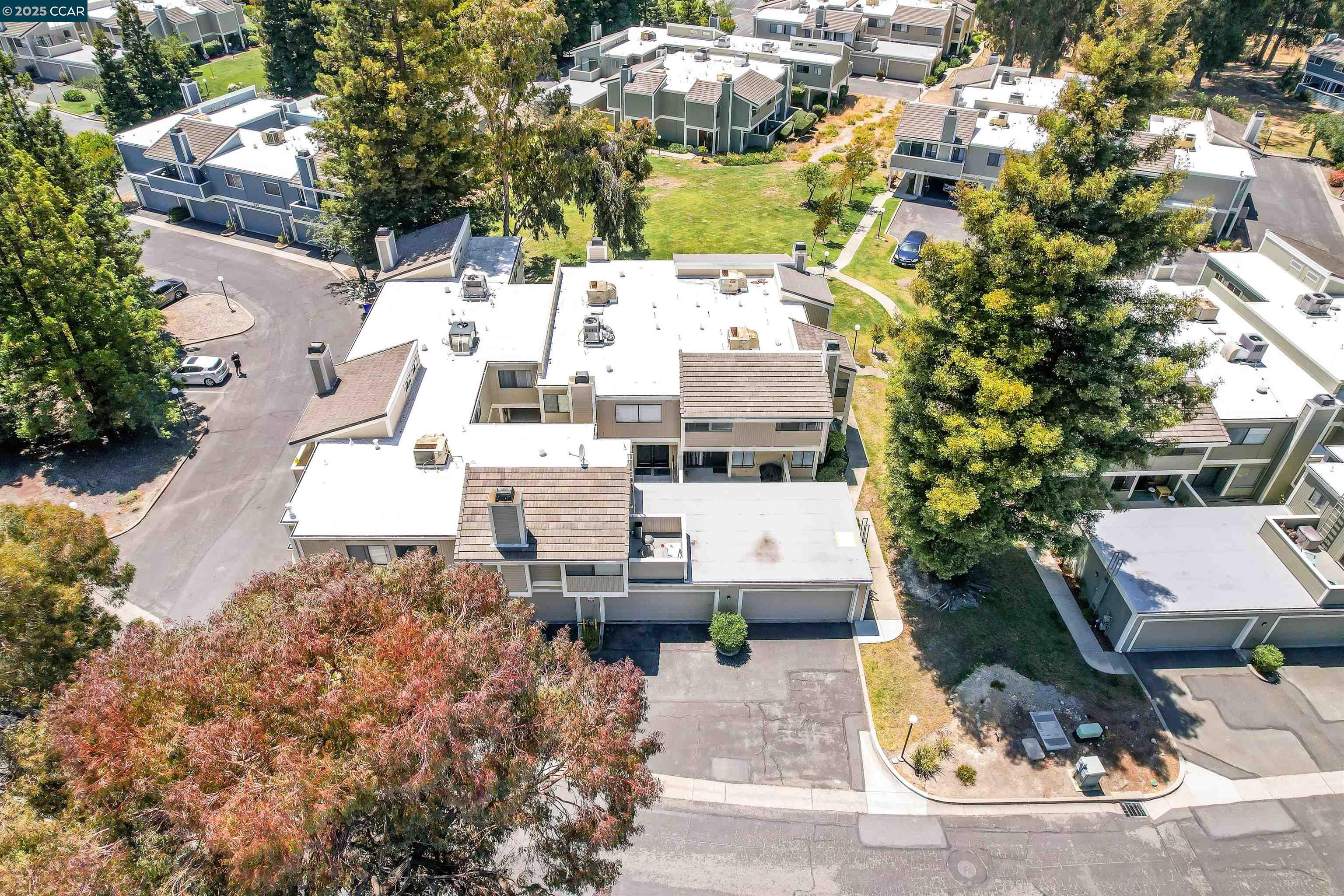 228 Apollo # 6