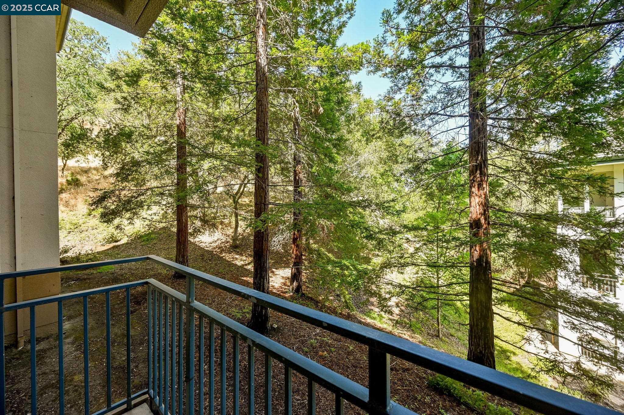 5920 Horsemans Canyon # 3A