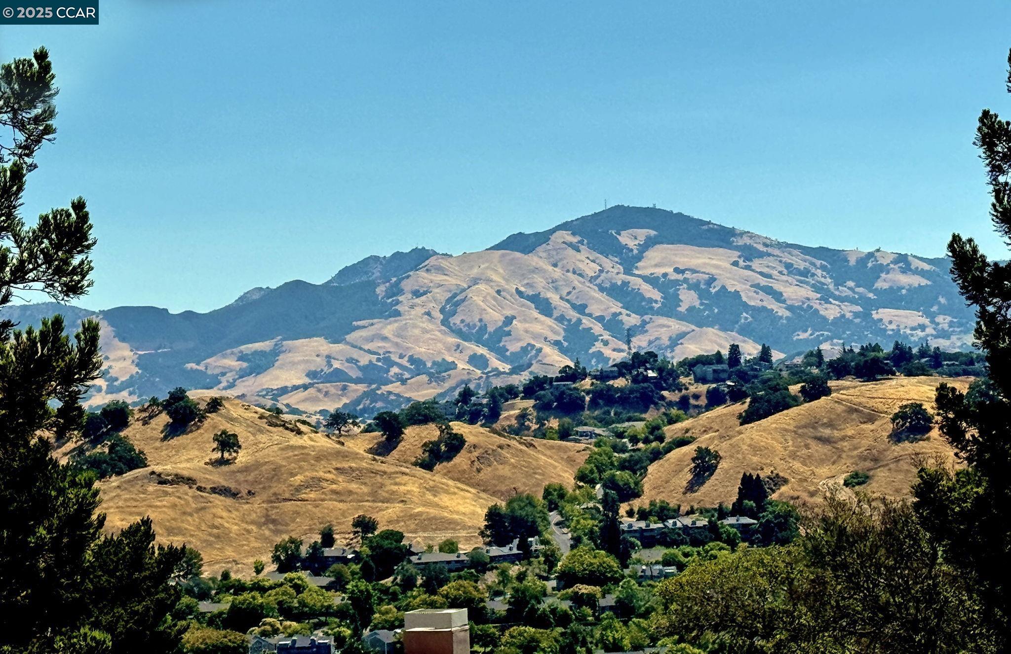 1824 Stanley Dollar Dr # 4C