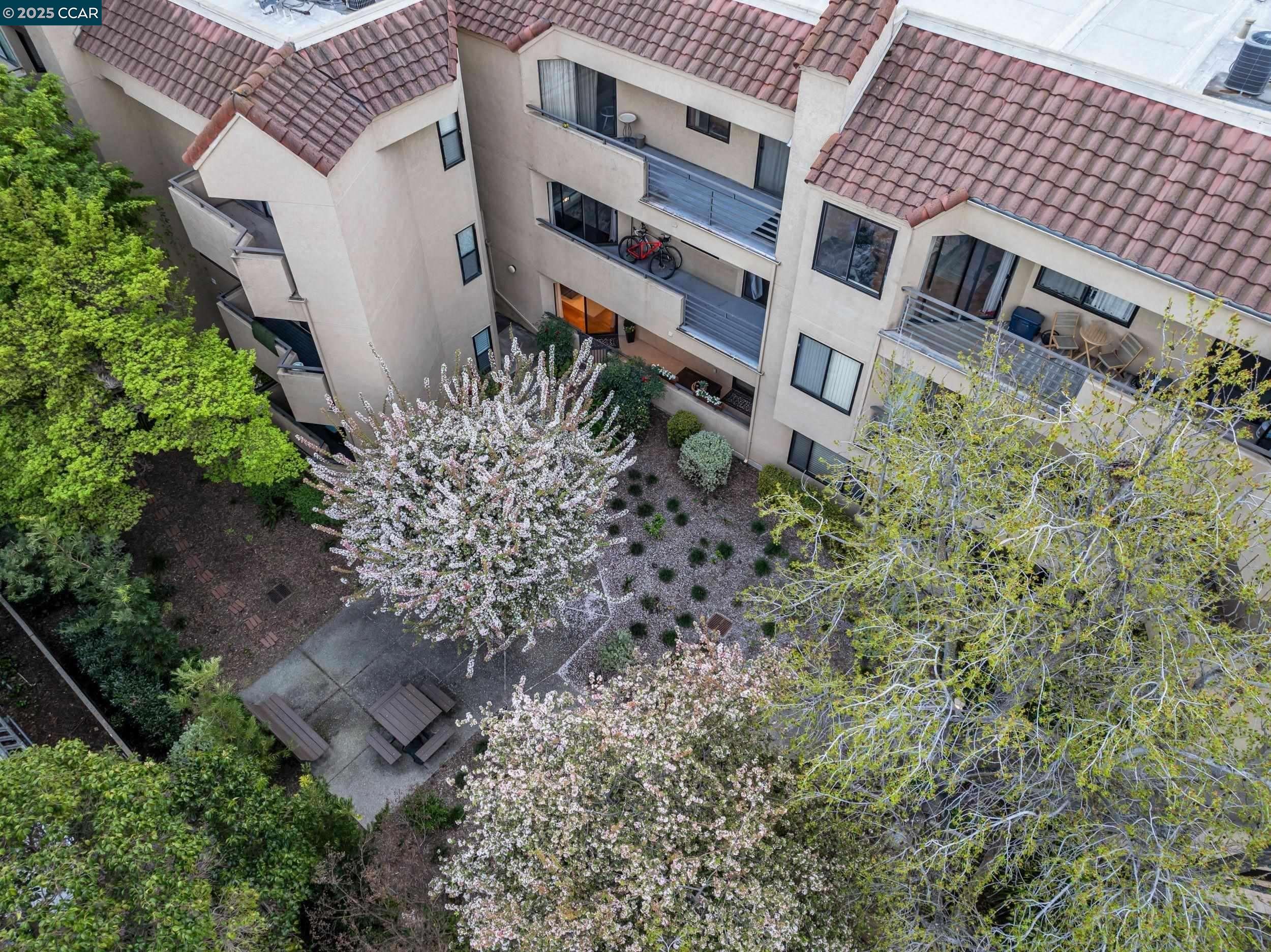 1201 Alta Vista Dr # 208