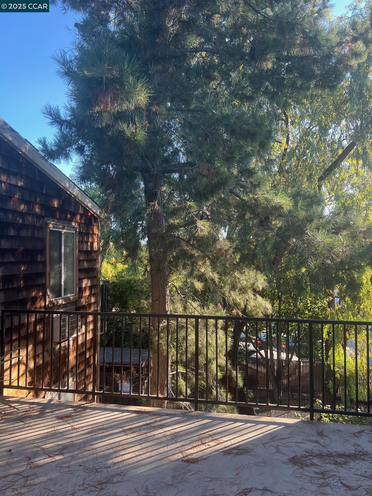 1971 Bonifacio St # 6