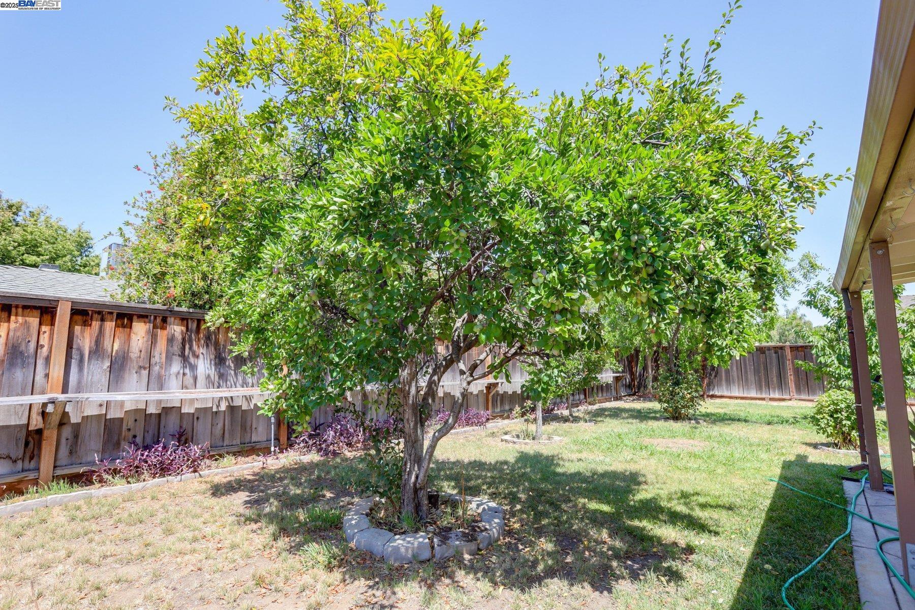 850 Tanager Rd