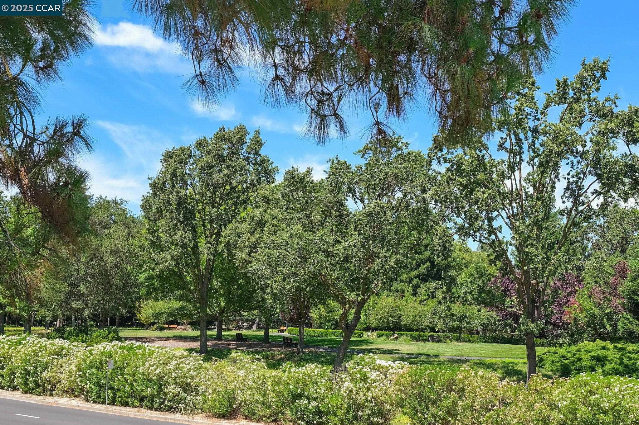 1133 Golden Rain Road # 3