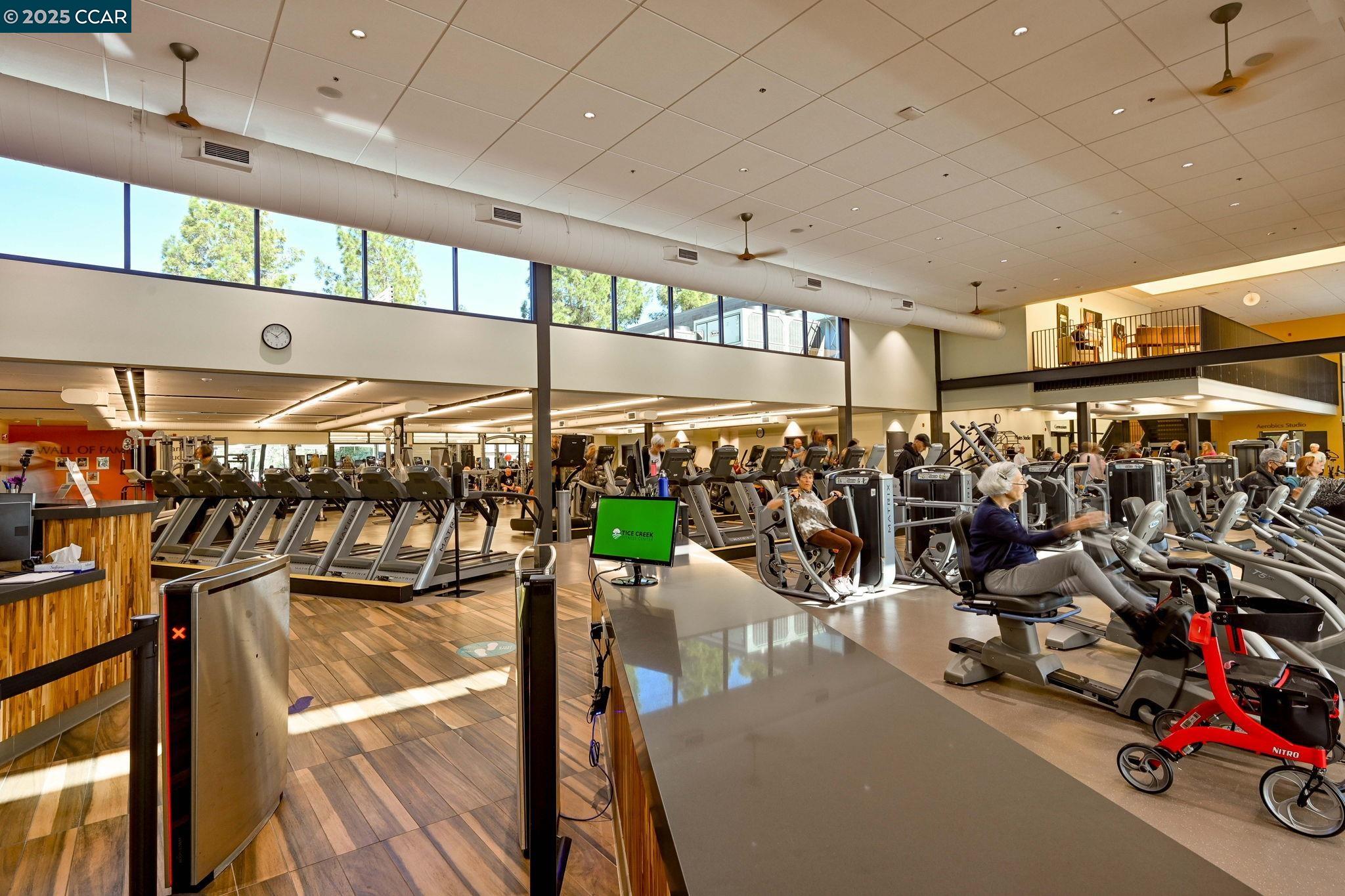 1133 Golden Rain Road # 3