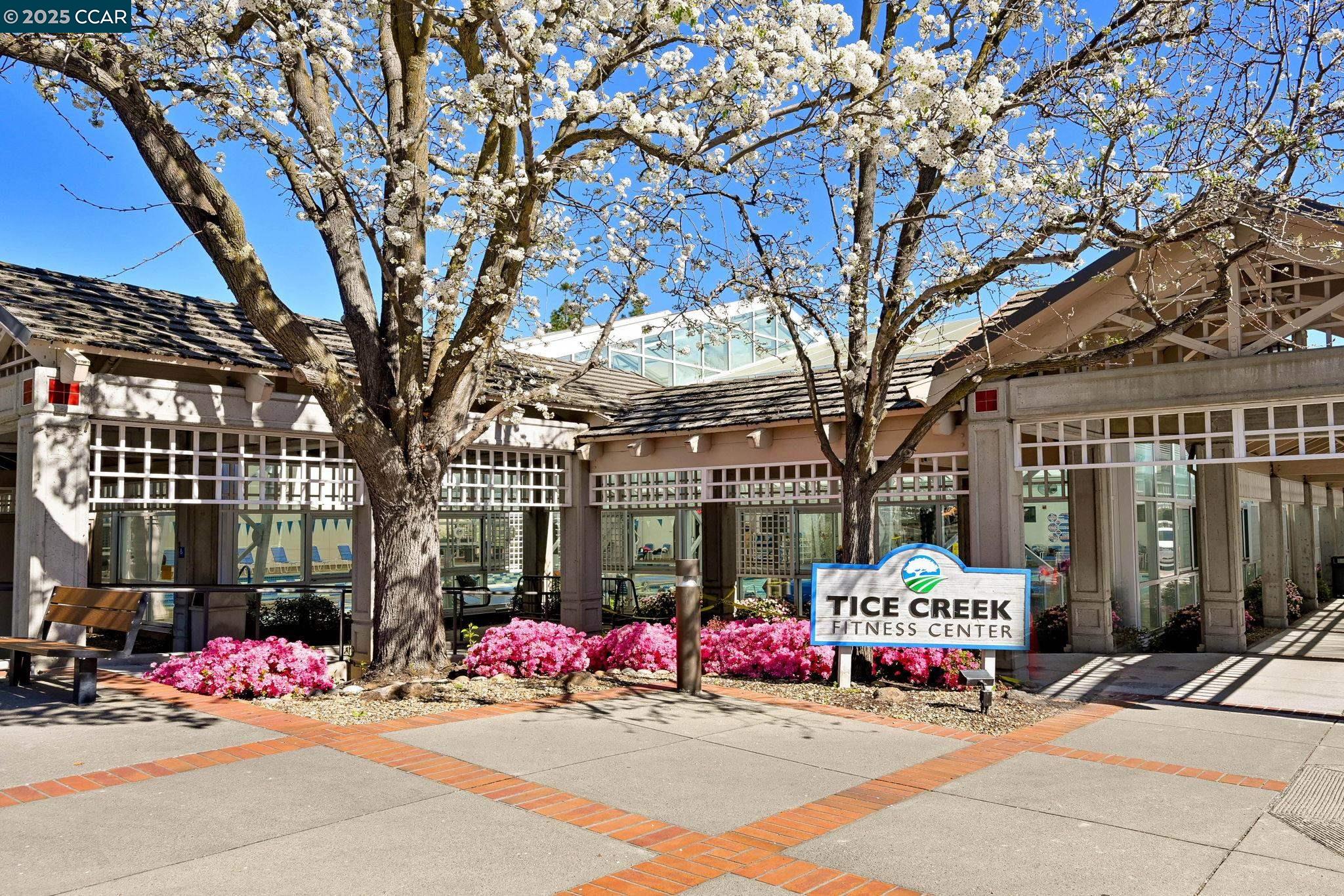 1133 Golden Rain Road # 3