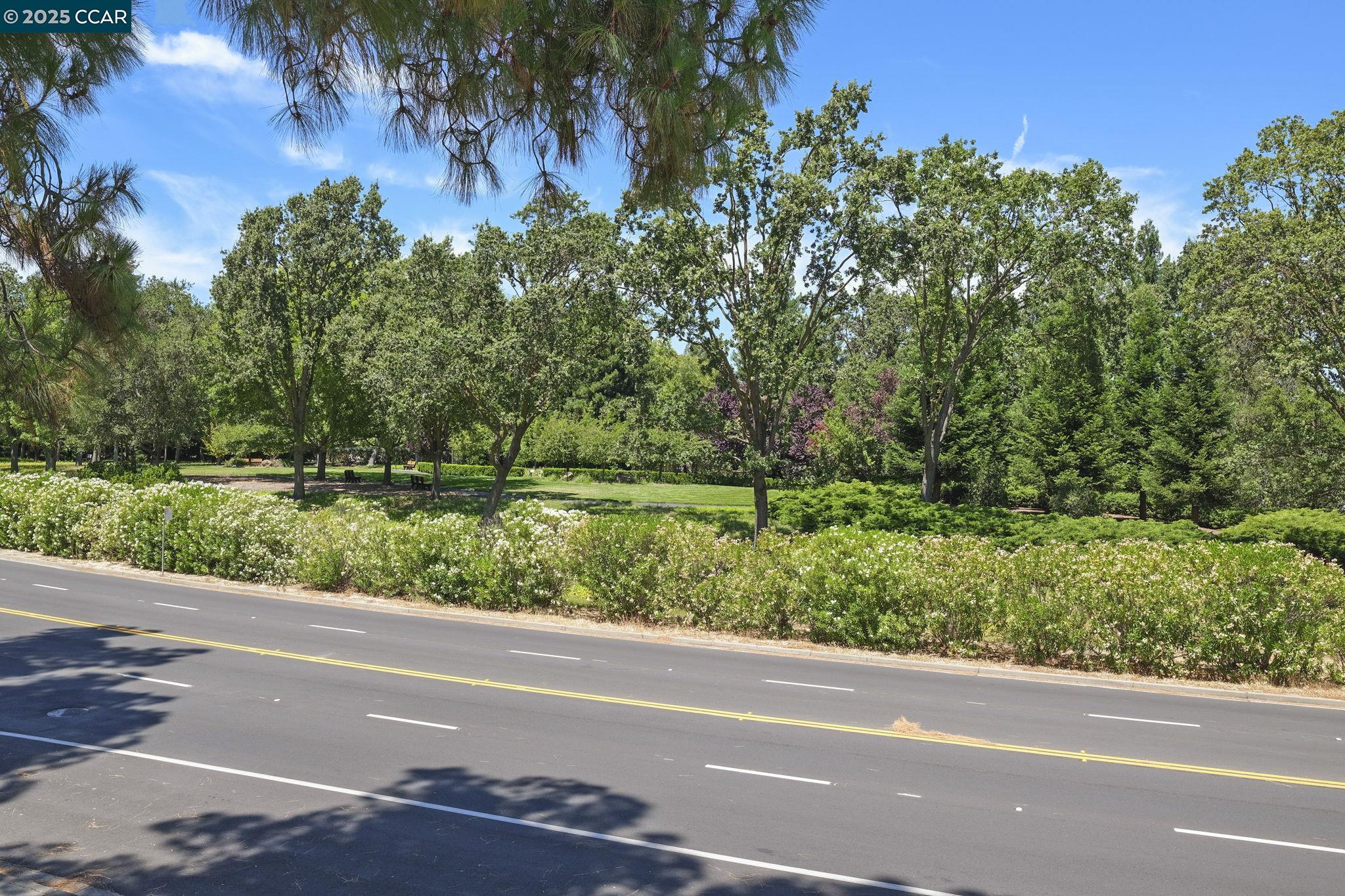 1133 Golden Rain Road # 3