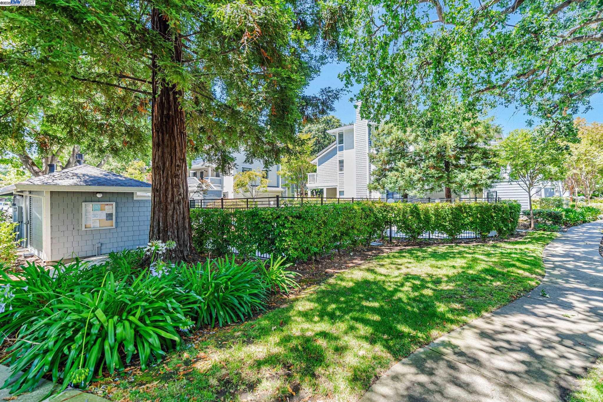 2584 Oak Rd # 227