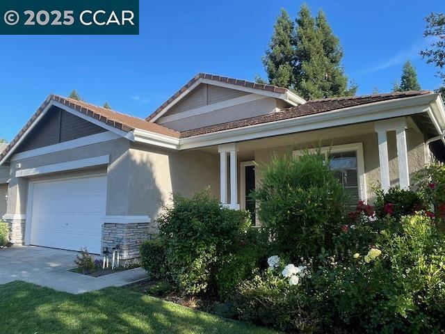 140 Gerbera St