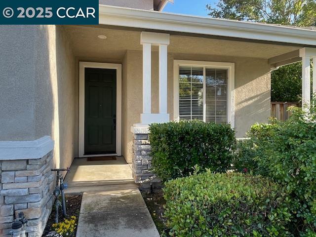140 Gerbera St