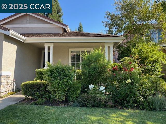 140 Gerbera St