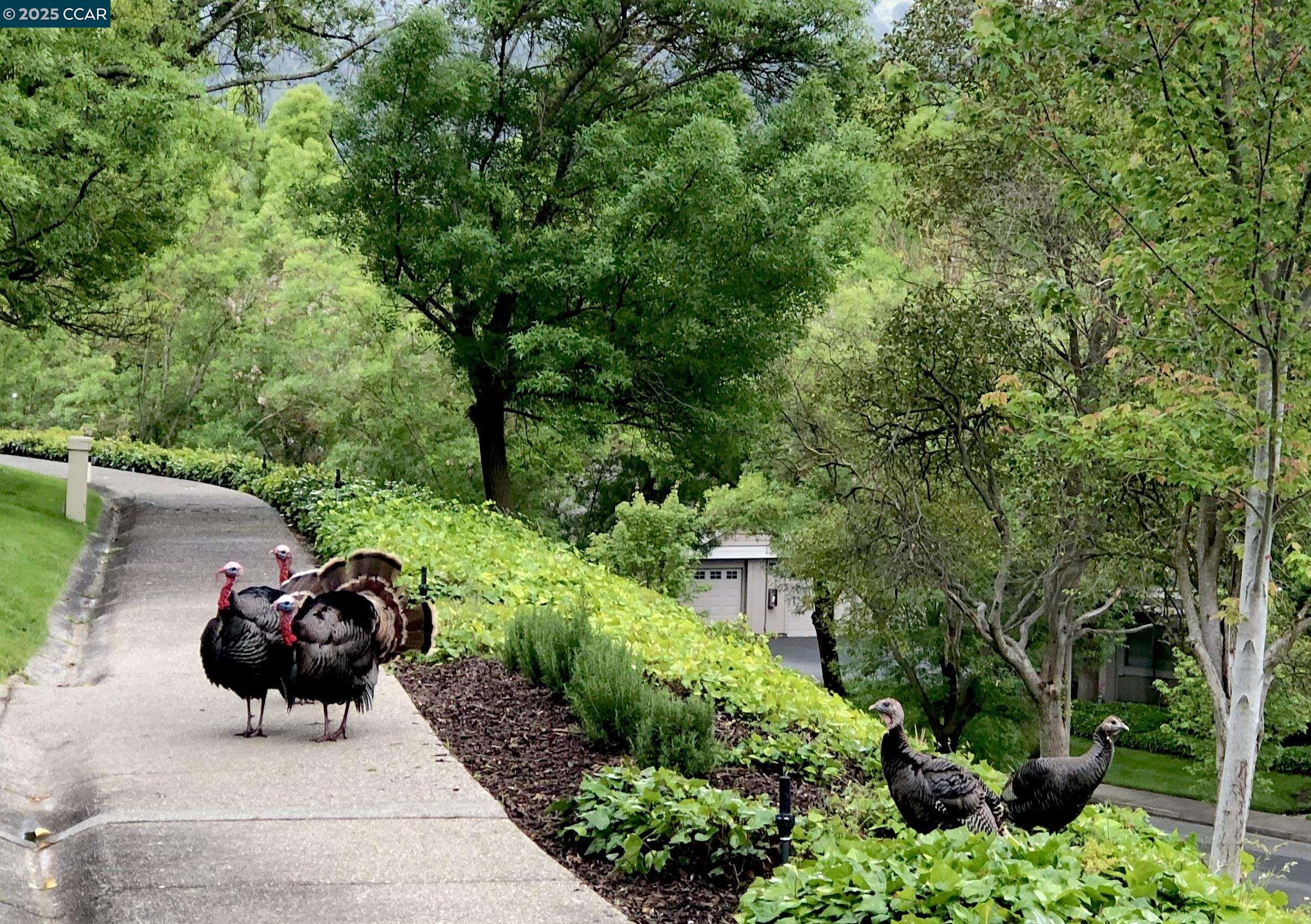 2200 Pine Knoll Dr # 11