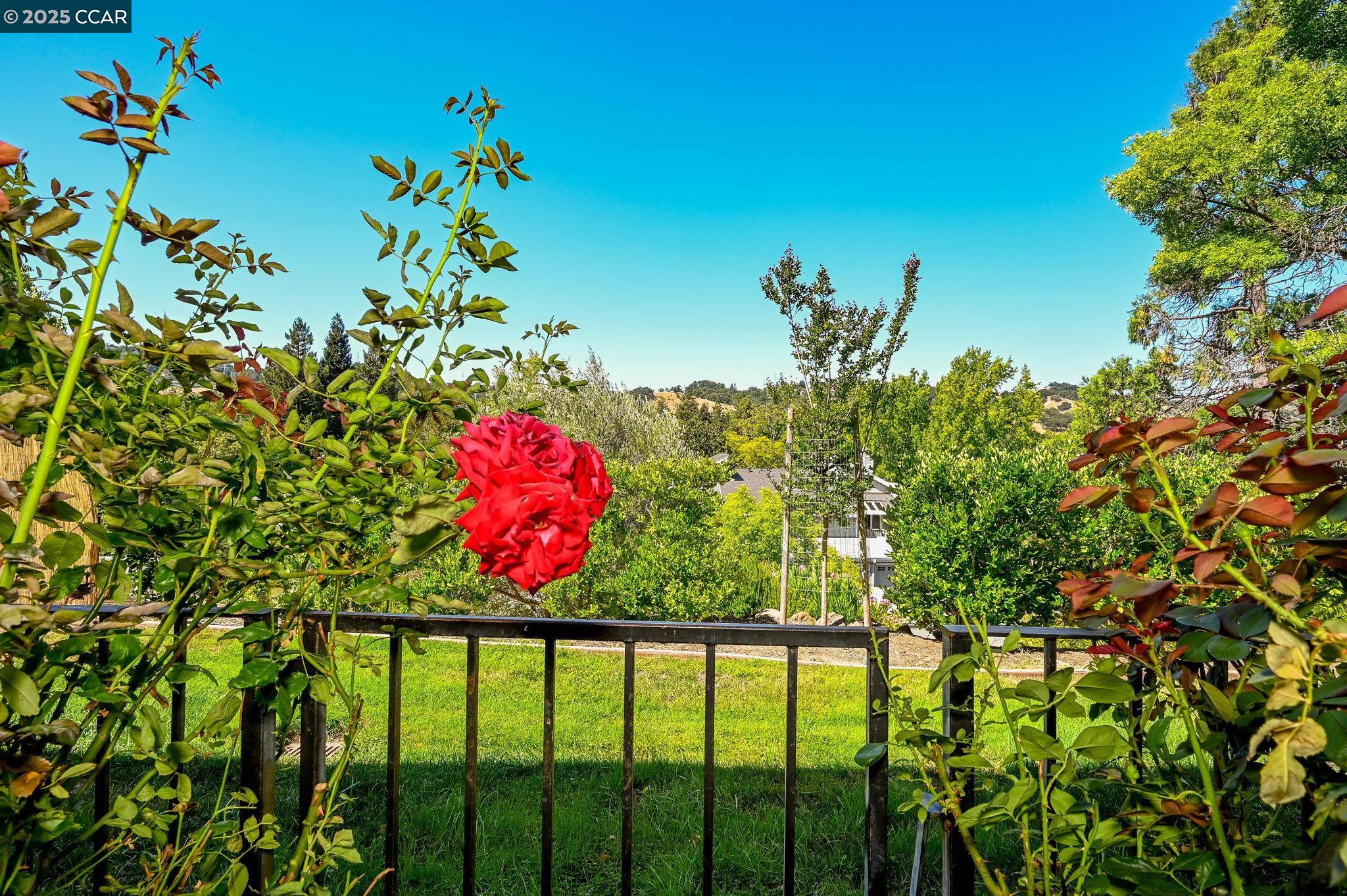 703 Terra California # 6 Unit: #6