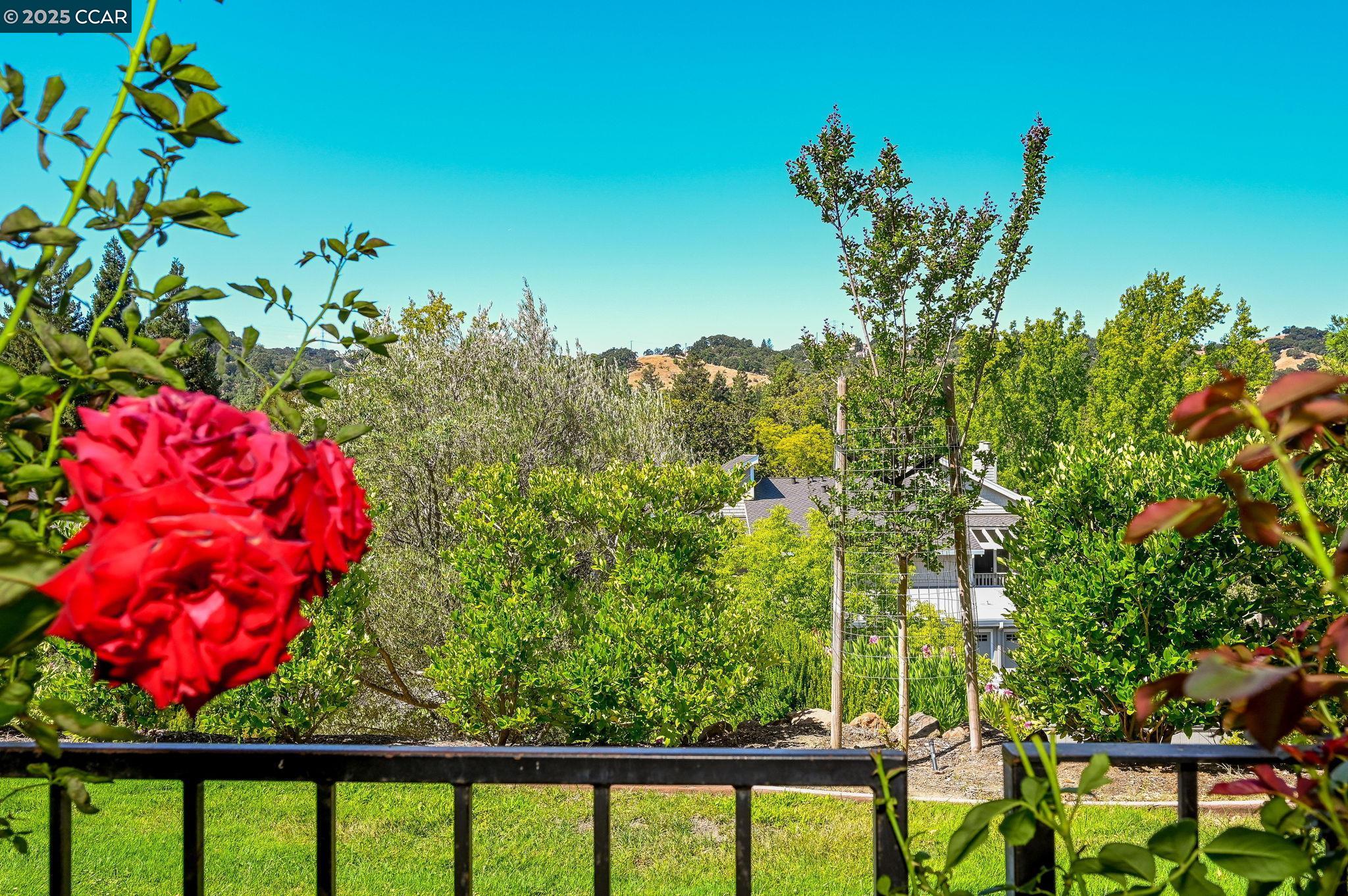 703 Terra California # 6 Unit: #6