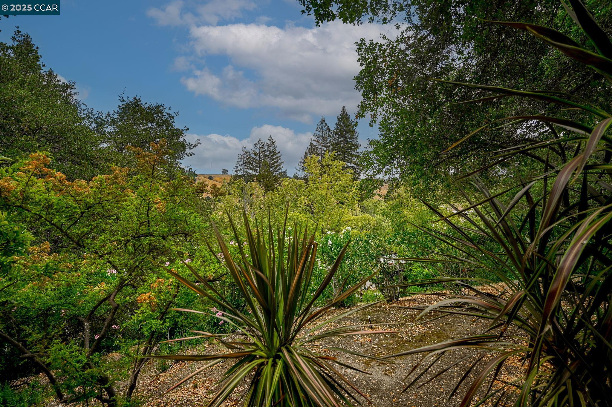 1281 Avenida Sevilla # 2A