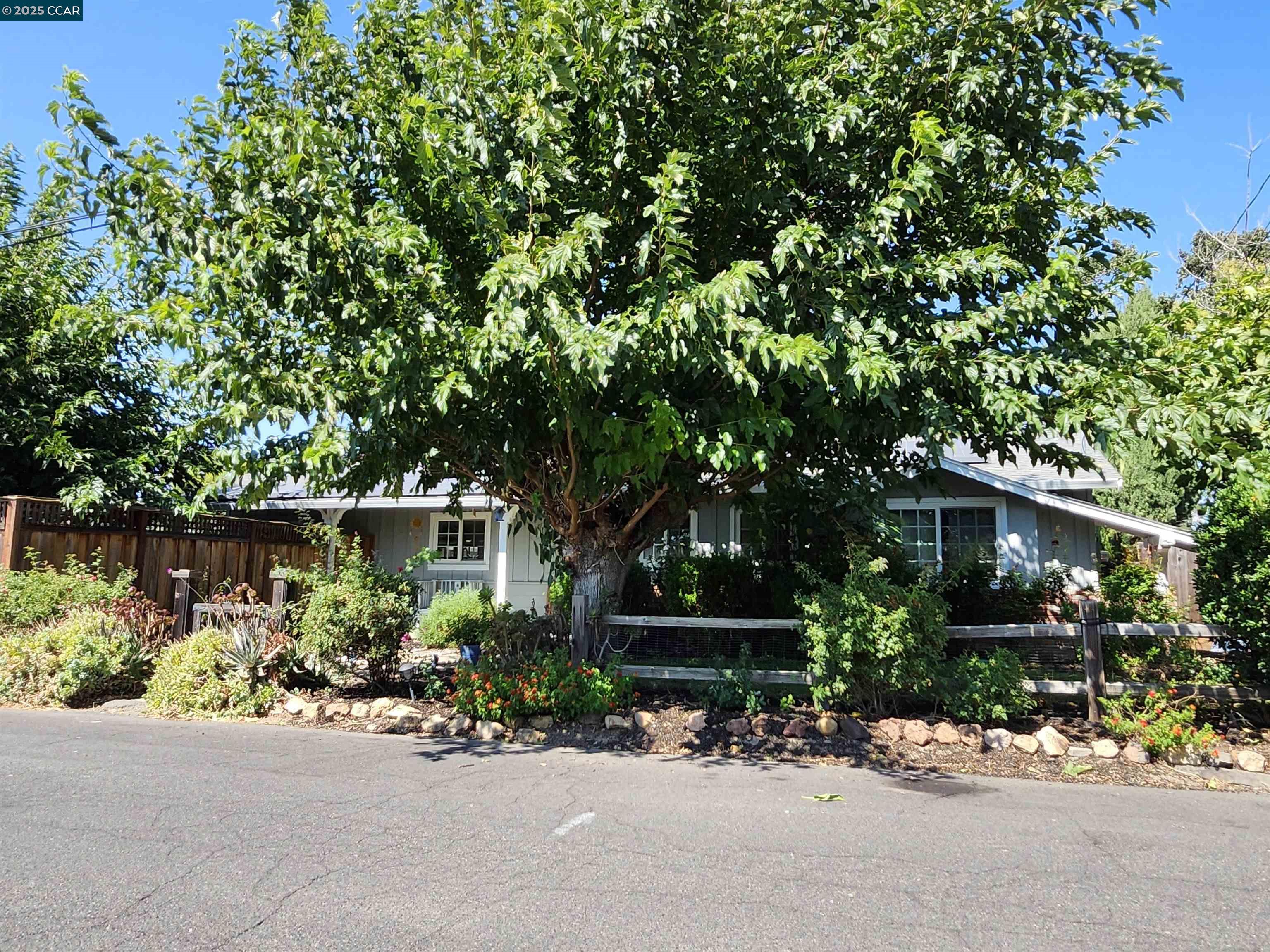 3479 Rose Ct