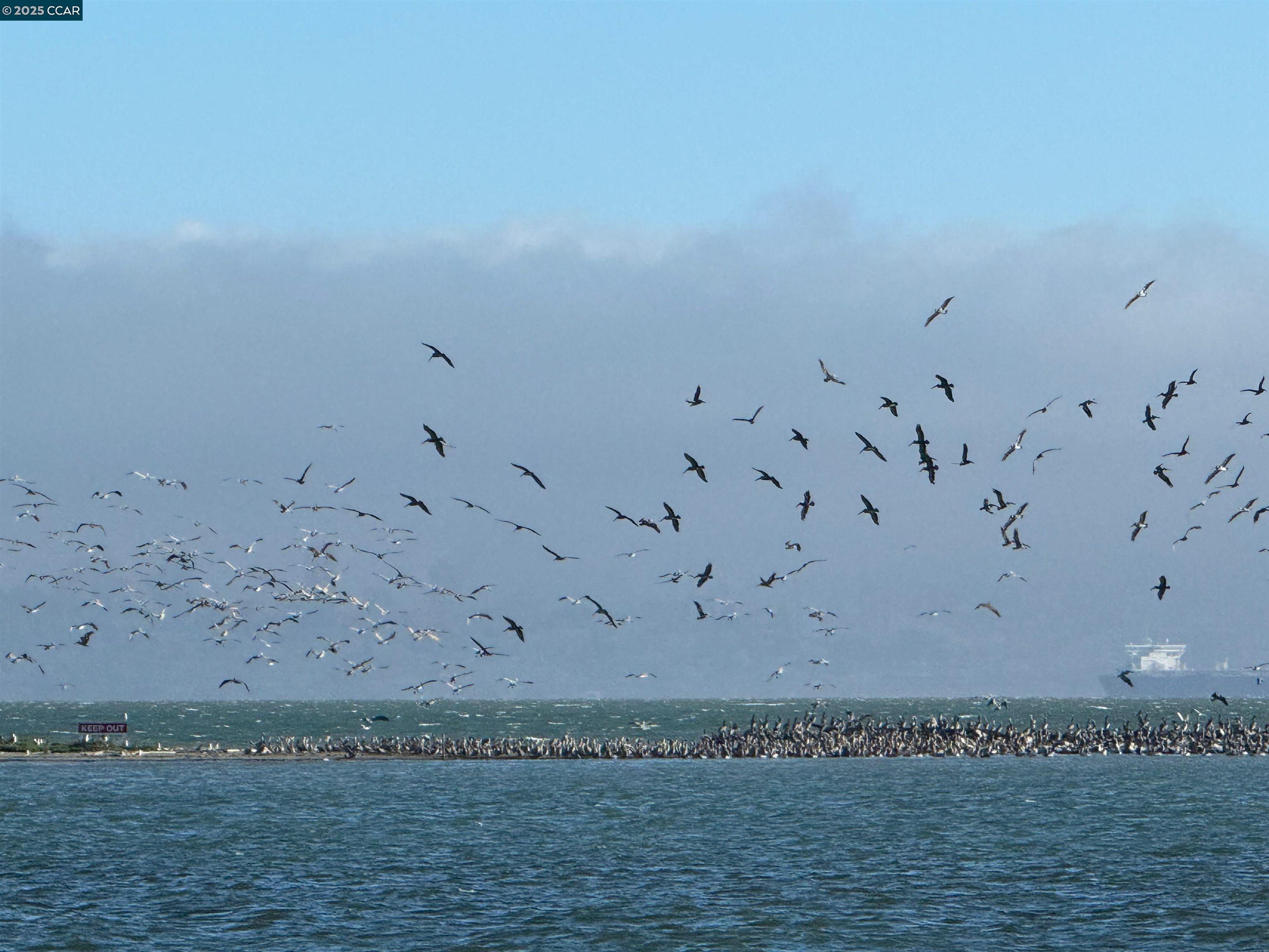 609 Commodore Dr, Richmond