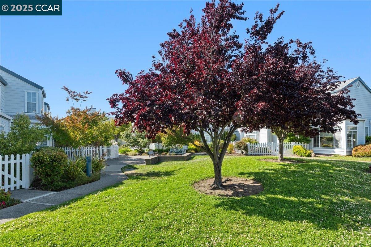 609 Commodore Dr, Richmond