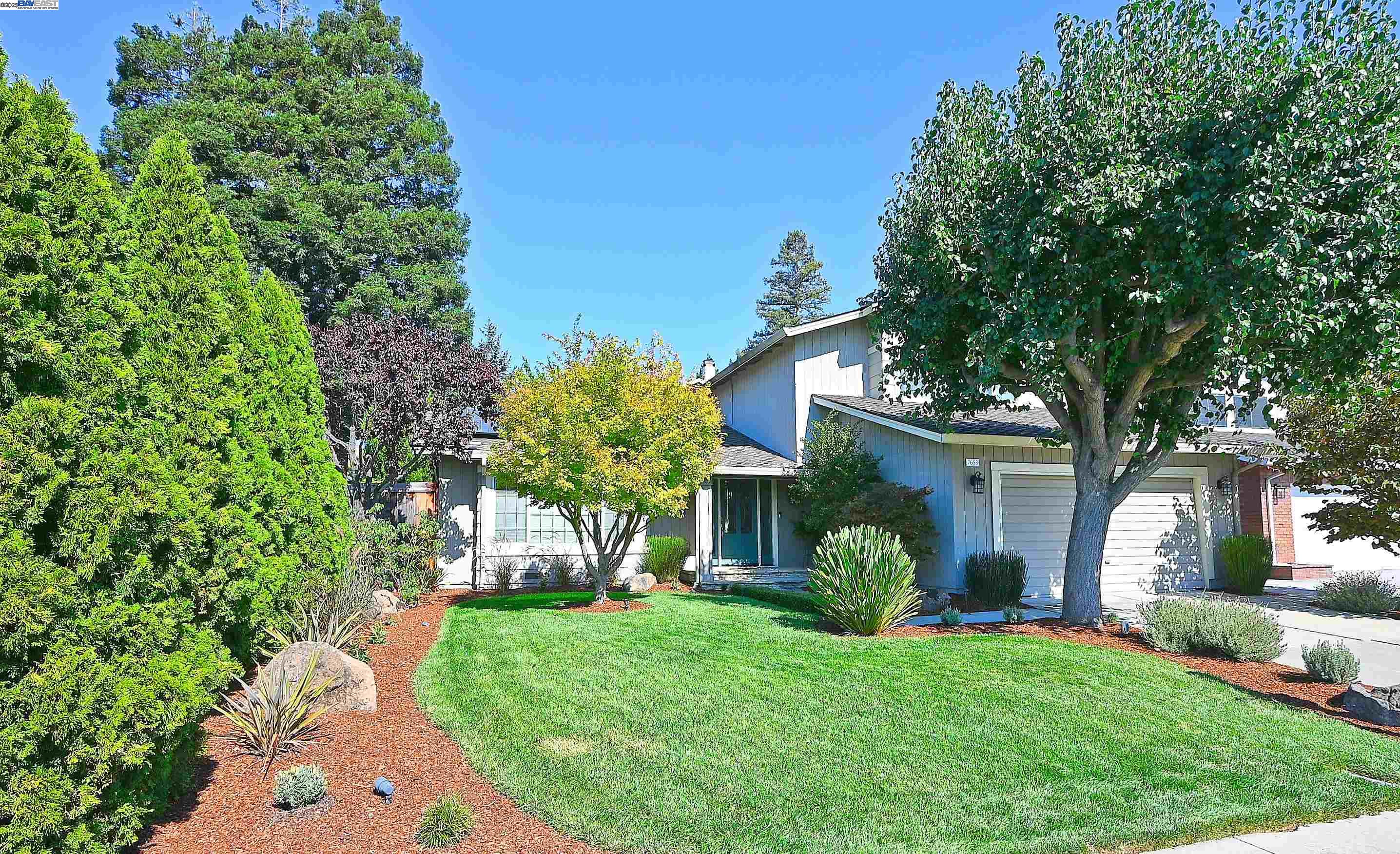 7653 Turquoise St